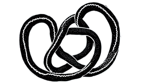 ribbon symbol,purity symbol,airbnb logo,triquetra,mercedes logo,esoteric symbol,female symbol,autism infinity symbol,mercedes benz car logo,love symbol,monogram,symbol,curved ribbon,ribbon (rhythmic gymnastics),treble clef,and symbol,rope (rhythmic gymnastics),rod of asclepius,symbol of good luck,dribbble logo,Conceptual Art,Oil color,Oil Color 20