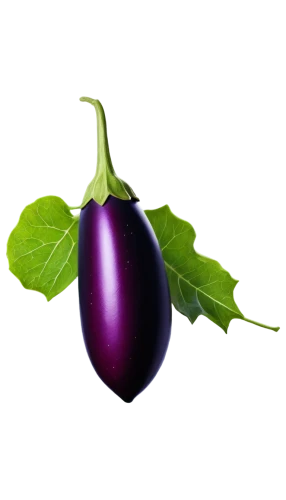 eggplant,eggplants,brinjal,egg plant,solanaceae,wall,purple,poblano,pea,sliced eggplant,f,cleanup,grape pergel,serrano pepper,taro,purpurea,patrol,schisandraceae,pepino,no purple,Photography,Documentary Photography,Documentary Photography 12