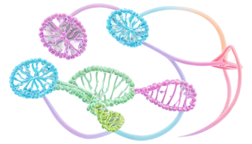 dna helix,biosamples icon,dna strand,rna,wreath vector,dna,spectrum spirograph,nucleotide,spirograph,genetic code,line art wreath,crystal structure,torus,orbitals,atom nucleus,cell structure,flowers png,spirography,the structure of the,gradient mesh,Photography,Documentary Photography,Documentary Photography 08