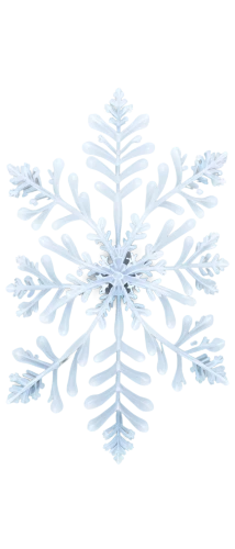 snowflake background,christmas snowflake banner,blue snowflake,wreath vector,snow flake,white snowflake,snowflake,gold foil snowflake,christmas tree pattern,summer snowflake,ice crystal,snowflakes,christmas snowy background,snowflake cookies,christmas pattern,flowers png,christmas motif,winter aster,red snowflake,flannel flower,Illustration,American Style,American Style 04
