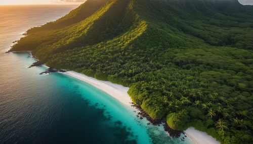 french polynesia,moorea,nusa penida,hawaii,tahiti,mauritius,samoa,fiji,molokai,southern island,uluwatu,philippines,polynesia,cliffs ocean,south pacific,oahu,reunion island,kauai,napali coast,cook islands,Photography,General,Natural