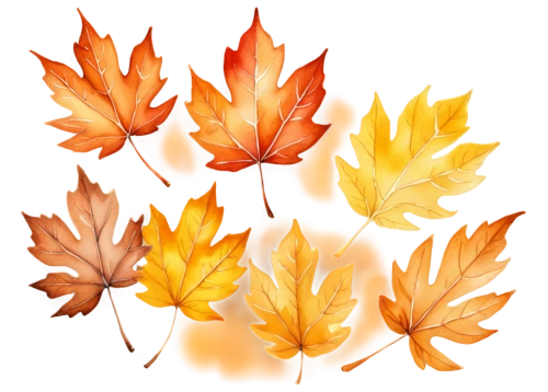 leaf background,autumn background,colored leaves,spring leaf background,leaf icons,autumn leaf paper,autumn icon,colorful leaves,fall leaf border,autumnal leaves,seasonal autumn decoration,maple leaf,maple leaves,maple leave,watercolor leaves,autumn decoration,autumn leaves,fall foliage,fallen leaves,autumn decor,Illustration,Paper based,Paper Based 24