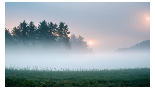 foggy landscape,dense fog,foggy forest,mist,ground fog,morning fog,morning mist,emission fog,fog banks,high fog,veil fog,fog,early fog,autumn fog,cuckoo-light elke,boomerang fog,the fog,north american fog,bavarian forest,fog up,Conceptual Art,Daily,Daily 16