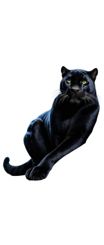 cat vector,black cat,pet black,cat image,chartreux,rex cat,halloween black cat,cat-ketch,canis panther,mow,png transparent,jiji the cat,tar,cat on a blue background,tekwan,aegean cat,emogi,panther,licorice,peterbald,Illustration,Abstract Fantasy,Abstract Fantasy 02