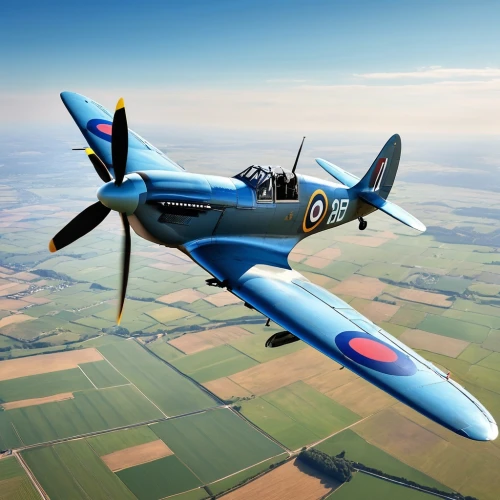 supermarine spitfire,north american p-51 mustang,north american t-6 texan,corsair,curtiss p-40 warhawk,vought f4u corsair,t28 trojan,grumman f8f bearcat,grumman f6f hellcat,grumman f9f panther,aero l-39 albatros,messerschmitt bf 108,model aircraft,glider pilot,douglas sbd dauntless,breda ba.88,messerschmitt bf 109,radio-controlled aircraft,north american t-28 trojan,stinson reliant,Photography,General,Realistic