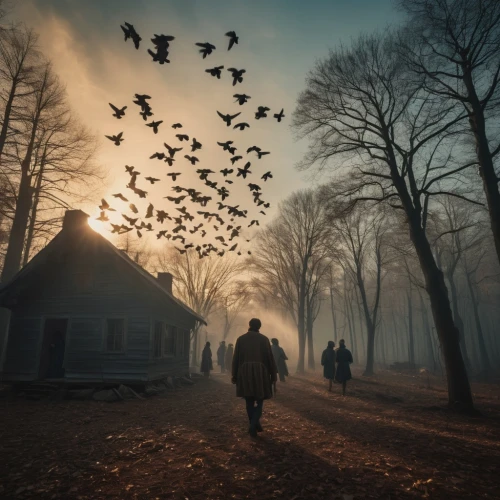 migration,flock of birds,flock home,bird migration,autumn fog,migrate,animal migration,migratory birds,murder of crows,the birds,autumn morning,autumn walk,wild birds,photomanipulation,a flock of pigeons,people in nature,evening atmosphere,landscape photography,the pied piper of hamelin,andreas cross,Photography,General,Cinematic