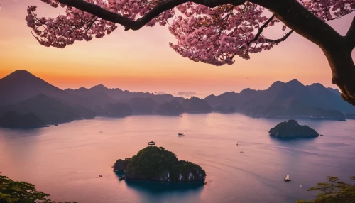 halong bay,vietnam,southeast asia,guilin,khao phing kan,phang nga bay,thailand,beautiful japan,flower in sunset,thai,asia,south korea,beautiful landscape,vietnam's,indonesia,japan landscape,ham ninh,芦ﾉ湖,taiwan,philippines,Photography,General,Cinematic