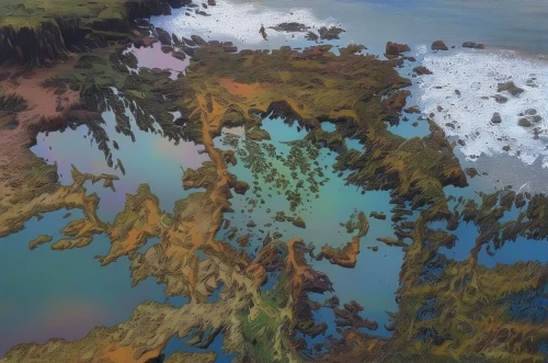 tide pool,seaweeds,pacific coastline,acid lake,aerial landscape,underwater landscape,aerial view of beach,blue lagoon,shallows,mendocino,archipelago,coral reefs,relief map,seaweed,virtual landscape,artificial islands,swampy landscape,aquatic plants,kelp,dolphin coast,Illustration,Paper based,Paper Based 04