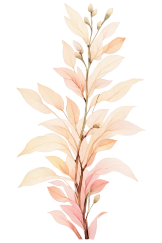 watercolor leaves,watercolour leaf,watercolor leaf,flowers png,palm lily,pink quill,foliage coloring,soft coral,oleander,fireweed,leaf fern,tuberose,amaranth family,candy cane sorrel,spring leaf background,gold-pink earthy colors,palm leaf,tropical leaf,amaranth,pineapple lily,Art,Artistic Painting,Artistic Painting 38
