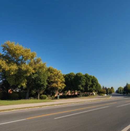maple road,tree-lined avenue,illinois,tree lined lane,road surface,street view,empty road,chestnut avenue,michigan,manitoba,city highway,360 ° panorama,paved square,gregory highway,highway roundabout,missouri,bicycle lane,lane delimitation,aaa,bicycle path,Photography,General,Realistic