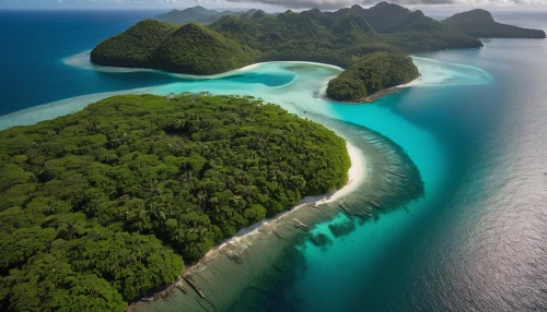 raja ampat,moorea,andaman sea,french polynesia,philippines,southeast asia,cook islands,lembeh,krabi thailand,fiji,philippines scenery,maldive islands,tahiti,southern island,samoa,widi islands,kei islands,island suspended,south pacific,indonesia,Photography,General,Natural