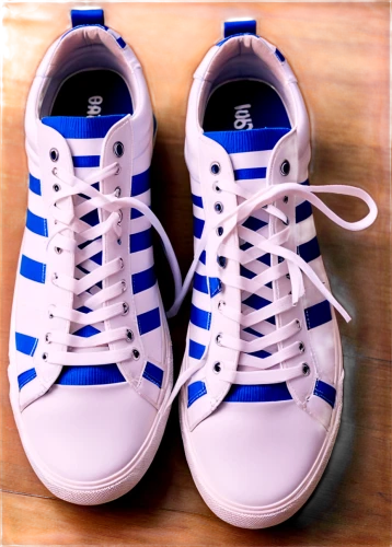 sport shoes,tennis shoe,sail blue white,sports shoes,athletic shoes,basketball shoes,sports shoe,blue shoes,athletic shoe,blue and white,mens shoes,shoes icon,active footwear,basketball shoe,blue white,walking shoe,teenager shoes,shoelaces,wrestling shoe,sneakers,Illustration,Japanese style,Japanese Style 04