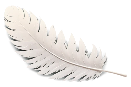 white feather,hawk feather,chicken feather,bird feather,pigeon feather,swan feather,feather,feather jewelry,feather headdress,prince of wales feathers,feather pen,feather on water,beak feathers,black feather,feathers,peacock feather,raven's feather,bird wing,feathers bird,plume,Illustration,Japanese style,Japanese Style 06