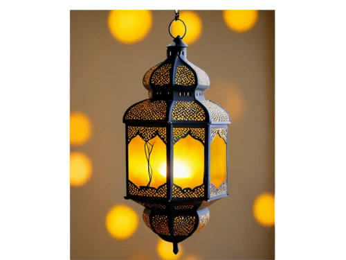 islamic lamps,vintage lantern,hanging lantern,illuminated lantern,morocco lanterns,light fixture,gas lamp,lantern,christmas lantern,sconce,facade lantern,hanging lamp,oil lamp,table lamp,cuckoo light elke,table lamps,iron street lamp,landscape lighting,blue lamp,hanging light,Conceptual Art,Daily,Daily 28