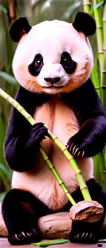 chinese panda,panda,kawaii panda,lun,giant panda,pandas,panda bear,bamboo,french tian,little panda,pandabear,kawaii panda emoji,panda cub,baby panda,hanging panda,panda face,po,oliang,pandoro,slothbear,Illustration,Retro,Retro 12