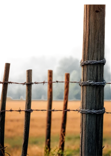 pasture fence,fence posts,split-rail fence,wire fence,barbed wire,wooden poles,ribbon barbed wire,wooden fence,fence,wire fencing,barb wire,fences,electric fence,fence element,unfenced,chain fence,wood fence,barbwire,telephone poles,prison fence,Photography,Documentary Photography,Documentary Photography 05