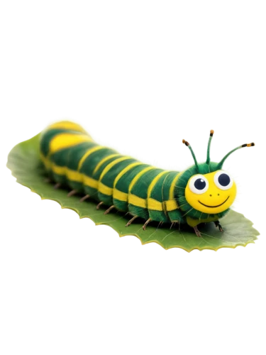 swallowtail caterpillar,butterfly caterpillar,caterpillar,sawfly,caterpillars,caterpillar gypsy,oak sawfly larva,cutworms,larva,silkworm,larval,centipede,maguey worm,hornworm,waxworm,pellworm,insect,glowworm,worm,buterflies,Photography,Fashion Photography,Fashion Photography 11