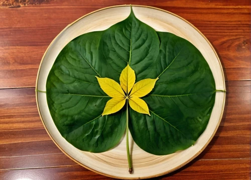 water lily plate,banana leaf,banana leaf rice,lotus leaf,tropical leaf pattern,coconut leaf,dinner-plate magnolia,fig leaf,yellow leaf pie,tropical leaf,laulau,leaf vegetable,wooden plate,lotus leaves,magnolia leaf,mape leaf,floral rangoli,pajeon,frangipani,vietnamese lotus tea