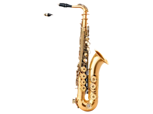 baritone saxophone,tenor saxophone,sax,saxophone,saxhorn,tuba,woodwind instrument,vienna horn,clarinet,woodwind instrument accessory,american climbing trumpet,saxophone playing man,wind instrument,trumpet folyondár,bass oboe,brass instrument,instrument trumpet,climbing trumpet,flugelhorn,saxophonist,Illustration,Realistic Fantasy,Realistic Fantasy 36