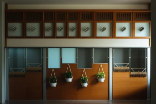 japanese-style room,room divider,display case,ryokan,examination room,china cabinet,vitrine,cabinets,consulting room,meeting room,display window,treatment room,changing room,blur office background,doctor's room,art deco background,surgery room,sake set,sideboard,laundry shop,Photography,General,Realistic