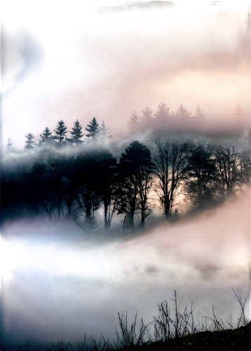 foggy landscape,fog banks,trossachs national park - dunblane,morning mist,mists over prismatic,dense fog,ground fog,landscape background,mist,foggy mountain,veil fog,fog,emission fog,the fog,north american fog,wave of fog,autumn fog,early fog,landscapes,high fog,Illustration,Vector,Vector 12