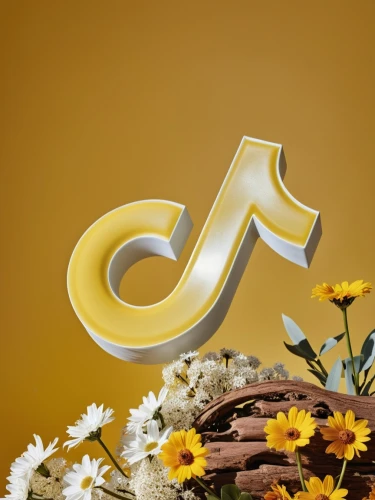 chocolate letter,music note frame,music note,musical note,decorative letters,music note paper,f-clef,music notes,trebel clef,treble clef,j,logo header,flowers png,clef,g-clef,music service,musical notes,flower background,blossom gold foil,letter c,Photography,General,Realistic