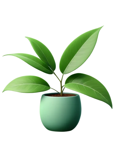 potted plant,growth icon,potted palm,container plant,plant pot,money plant,houseplant,pot plant,oil-related plant,green plant,tea plant,rank plant,garden pot,potted tree,plant,bellenplant,aromatic plant,thick-leaf plant,perennial plant,flowerpot,Art,Artistic Painting,Artistic Painting 41