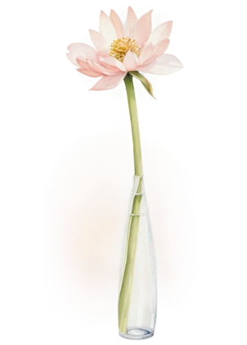 flowers png,flower vase,flower vases,glass vase,artificial flower,lily water,gerbera flower,flower illustrative,flower of water-lily,paper flower background,bookmark with flowers,dahlia white-green,gerbera,decorative flower,straw flower,lotus ffflower,artificial flowers,ikebana,sego lily,dahlia pink,Art,Artistic Painting,Artistic Painting 35