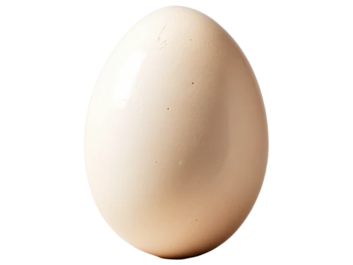 egg,chicken egg,eggshell,egg shell,large egg,bisected egg,soy egg,brown egg,hen's egg,organic egg,eggs,painted eggshell,goose eggs,chicken eggs,egg shaker,boiled egg,egg shells,lay eggs,bird's egg,bowling pin,Conceptual Art,Fantasy,Fantasy 07