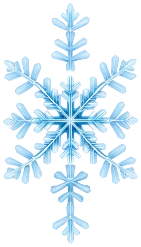 snowflake background,christmas snowflake banner,snow flake,blue snowflake,snowflake,white snowflake,weather icon,gold foil snowflake,snowflakes,christmas snowy background,winter background,ice crystal,wreath vector,christmas motif,christmas pattern,fire flakes,icemaker,snow drawing,flakes,the snow falls,Photography,Fashion Photography,Fashion Photography 19