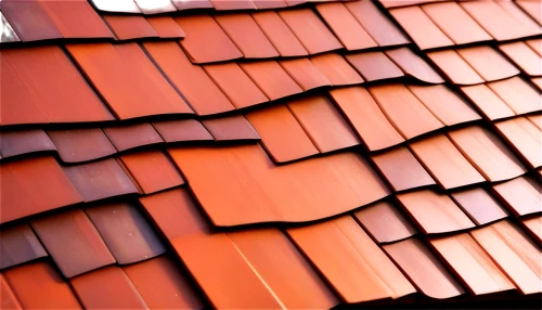 roof tiles,roof tile,tiled roof,roof panels,clay tile,terracotta tiles,red roof,slate roof,roof plate,roofing,shingles,roofing work,house roofs,house roof,metal roof,roofline,almond tiles,roof landscape,tiles shapes,folding roof,Conceptual Art,Fantasy,Fantasy 18