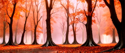 autumn forest,autumn background,background vector,beech trees,deciduous forest,autumn trees,fairytale forest,enchanted forest,forest landscape,forest background,germany forest,tree grove,halloween bare trees,cartoon video game background,autumn landscape,forest glade,mixed forest,row of trees,autumn scenery,beech forest,Conceptual Art,Sci-Fi,Sci-Fi 13