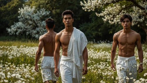 three flowers,cherokee rose,aborigines,four seasons,the three graces,druids,buddha focus,black models,indian monk,nature and man,narcissus of the poets,buddhists monks,theravada buddhism,mirror in the meadow,buddhist,narcissus,photo session in torn clothes,male model,monks,ayurveda