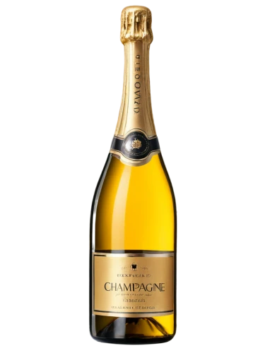 a bottle of champagne,champagen flutes,champagner,champagne bottle,bottle of champagne,champagne,champagne stemware,champagne color,sparkling wine,champagne cocktail,champagne flute,a glass of champagne,chamomille,champagne cup,chardonnay,champagne glass,bubbly wine,champagne glasses,chamomiles,prosecco,Photography,Documentary Photography,Documentary Photography 38