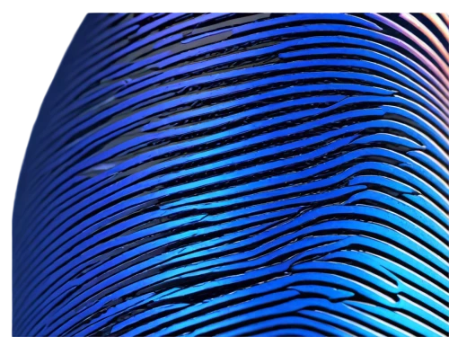 fingerprint,fingerprints,thumbprint,biometrics,digital identity,gradient mesh,authentication,virtual identity,blue sea shell pattern,barcode,euploea core,fingernail polish,surfboard fin,mermaid scales,personal data,bottle surface,mermaid scales background,bar code scanner,retina nebula,hand detector,Conceptual Art,Daily,Daily 23