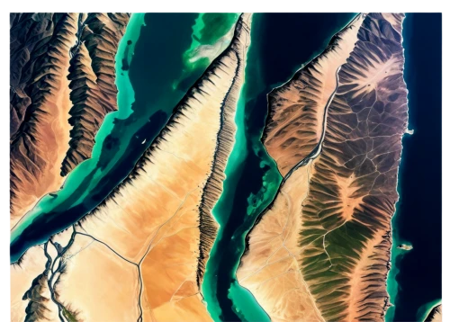 fluvial landforms of streams,satellite imagery,namib,satellite image,river delta,braided river,color image,plant veins,jordan river valley,chlorophyta,srtm,meanders,namib desert,namibia nad,aeolian landform,libyan desert,aqaba,tropical leaf pattern,desertification,judaean desert,Illustration,Abstract Fantasy,Abstract Fantasy 18