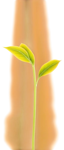 celery stalk,oil-related plant,agave nectar,mustard plant,banana plant,celery plant,plant oil,bottlebush,citronella,shrub celery,plant stem,mustard oil,banana tree,bamboo shoot,ginger plant,upright yellow sorrel,golden candle plant,celery juice,plant milk,soybean oil,Art,Classical Oil Painting,Classical Oil Painting 29