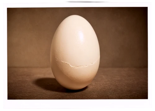 bowling pin,bisected egg,egg shell,painted eggshell,eggshell,large egg,bird's egg,egg shaker,eggcup,crystal egg,chicken egg,egg,organic egg,egg cup,goose eggs,tea egg,hen's egg,egg timer,egg shells,egg in an egg cup,Photography,Documentary Photography,Documentary Photography 03