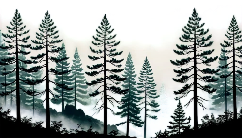 coniferous forest,fir forest,spruce-fir forest,pine trees,temperate coniferous forest,spruce forest,forest background,fir trees,forests,spruce trees,coniferous,conifers,larch forests,pine forest,evergreen trees,foggy forest,the forests,winter forest,silvertip fir,forest landscape,Illustration,Realistic Fantasy,Realistic Fantasy 39