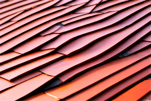 roof tiles,roof tile,copper tape,copper,corrugated sheet,clay tile,metal pile,terracotta tiles,paper patterns,roof panels,tiles shapes,tessellation,slate roof,japanese wave paper,metal roof,tiled roof,corrugated cardboard,ridges,metal cladding,terracotta,Illustration,American Style,American Style 15