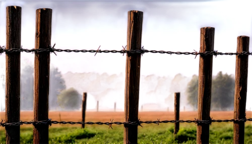 pasture fence,fences,fence,prison fence,fence posts,wire fence,barbed wire,fence gate,chain-link fencing,unfenced,wire fencing,fence element,chain fence,electric fence,ribbon barbed wire,wooden fence,barb wire,picket fence,metal gate,split-rail fence,Photography,Artistic Photography,Artistic Photography 09