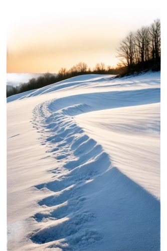 snow landscape,snowfield,snowdrift,snow fields,snowy landscape,winter landscape,snow tracks,snow trail,white turf,indiana dunes state park,white sand,ice landscape,deep snow,snow slope,snow cornice,snowshoe,foot prints,animal tracks,crevasse,ground frost,Illustration,Black and White,Black and White 23