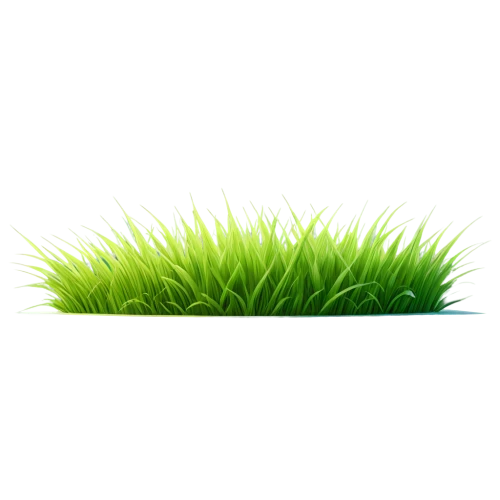 wheatgrass,wheat grass,wheat germ grass,block of grass,dad grass,grass blades,grass,artificial grass,blade of grass,grass grasses,sweet grass plant,halm of grass,grass golf ball,grass roof,quail grass,cleanup,brick grass,feather bristle grass,grass wipe,green grass,Art,Classical Oil Painting,Classical Oil Painting 37