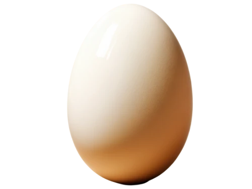 egg,chicken egg,eggshell,soy egg,egg shell,large egg,brown egg,bisected egg,hen's egg,organic egg,goose eggs,boiled egg,painted eggshell,egg shells,chicken eggs,bird's egg,eggs,lay eggs,egg shaker,tea egg,Unique,3D,Modern Sculpture