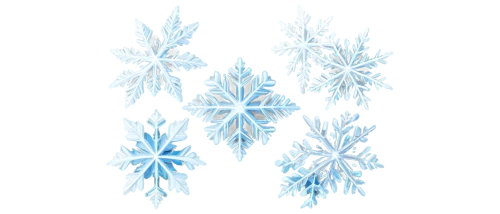 snowflake background,christmas snowflake banner,blue snowflake,snow flake,ice crystal,snowflakes,summer snowflake,snowflake,white snowflake,crystalline,ice flowers,snowflake cookies,fire flakes,flakes,christmas snowy background,winter background,snow trees,winter aster,ice queen,frost,Photography,Documentary Photography,Documentary Photography 16