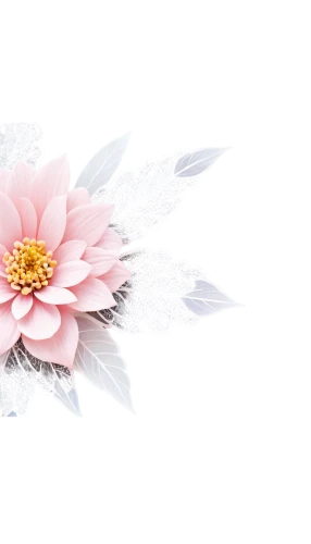 chrysanthemum background,paper flower background,japanese floral background,white floral background,floral digital background,flowers png,flower background,floral mockup,the white chrysanthemum,pink chrysanthemum,pink floral background,white chrysanthemum,wood daisy background,floral background,chrysanthemum,dahlia pink,celestial chrysanthemum,artificial flower,korean chrysanthemum,gerbera flower,Conceptual Art,Sci-Fi,Sci-Fi 18