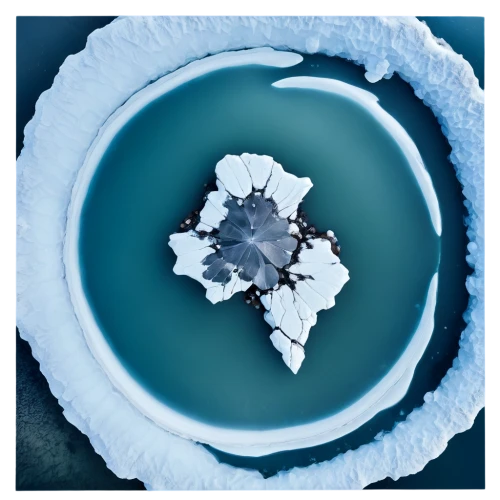 ice crystal,blue snowflake,crystalline,water glace,ice planet,silvery blue,geode,ice flowers,ice floe,ice hotel,water lily plate,icebergs,mandelbrodt,salt crystals,chalkhill blue,ice ball,glacial,silver blue,ice landscape,solar quartz,Photography,General,Realistic