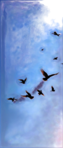 birds in flight,geese flying,birds flying,bird flight,migratory birds,flying birds,migration,bird migration,swifts,migrate,passenger pigeon,migratory,wild geese,bird frame,migratory bird,pelicans,flying sea gulls,formation flight,bird in the sky,flock home,Photography,Fashion Photography,Fashion Photography 02