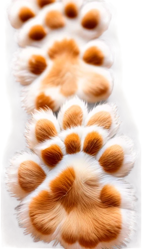 pawprint,paw print,pawprints,dog cat paw,tails,paw prints,cat's paw,paw,cat paw mist,dog paw,paws,fur,furry,fluffy tail,foxtail,bear paw,furta,firefox,garden-fox tail,fluff,Unique,Paper Cuts,Paper Cuts 06