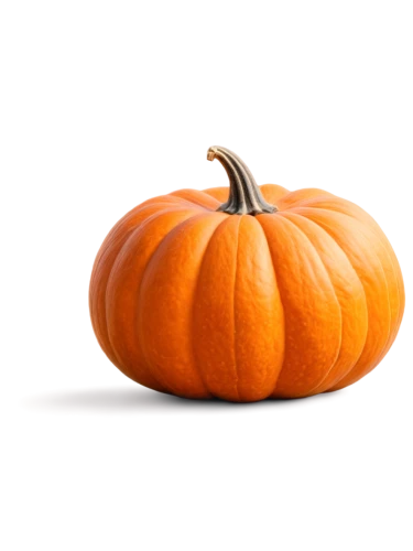 calabaza,halloween pumpkin,candy pumpkin,pumpkin,jack-o'-lantern,cucurbita,pumkin,halloween pumpkin gifts,hokkaido pumpkin,white pumpkin,decorative pumpkins,jack o'lantern,jack-o-lantern,jack o lantern,funny pumpkins,pumpkin lantern,pumpkin autumn,pumkins,cucurbit,halloween pumpkins,Photography,Documentary Photography,Documentary Photography 35